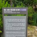 블루스카이의 소확행! 힐링!! 淸道 鎭山 南山 千年古刹 신둔사(薪芚寺) 드라이브 사찰투어