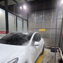 카워시퓨리피아 이미지