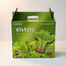 샘골마트