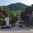 함평 보림정사 목조여래좌상 이미지