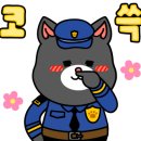 국일사 이미지