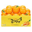 천혜향 맛책임제 13Brix이상 4KG - 19,540원 이미지