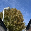 복정역1번출구 이미지