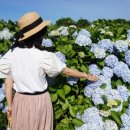 안성리-7 이미지