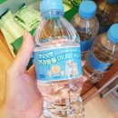 견생냥품 | 수원 오목천동 견생냥품 무인펫샵 럭키박스 후기!