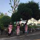 안성여자중학교 이미지