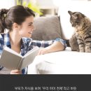 힐링동물병원 이미지