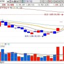 디엔티코리아 이미지