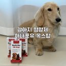 탑케어코리아 주식회사 | 강아지영양제 추천 소간증 케어로 시작한 아나포유 옥스탑 후기