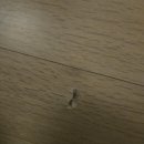 힐스테이트광교아파트 | 힐스테이트광교 아파트 찍힌마루부분교체