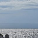 ㈜좋은관광여행사 | [울릉도여행] 울릉도패키지 가족여행 후기! 아라여행사 1일차 일정