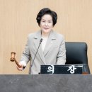 광진구의회 이미지