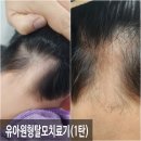 창운빌딩 이미지