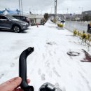 대신카 | 제주 여행, 렌트카 대신 공유카 : 지카(G Car) 4번째 이용후기
