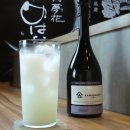 만나명품돼지 | [가고시마 텐몬칸 이자카야 맛집] 니혼슈와 소주 술향 유메하나: 쥬욘다이와 흑돼지 구이 후기