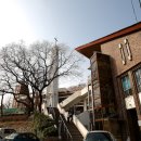 수원-1913 이미지