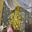 훌랄라바베큐치킨상모점