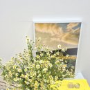 🌼춘천, 원데이 클래스에서 만든 특별한 하바리움 무드등 [디어데이지] 🌼