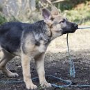 우림부동산중개 이미지