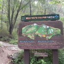 영신약수터 이미지