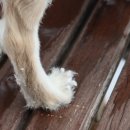 별내역사문화공원[별내-5] 이미지