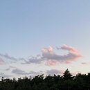 갤러리밥스 이미지