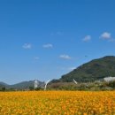 황산베이커리