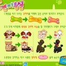 마리애견미용실 이미지