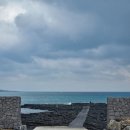 달리야드 이미지