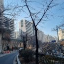 옵티마 다정약국 이미지