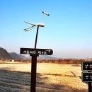 남한강낚시 이미지