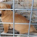 학동마을회관 이미지