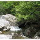 오색산나물