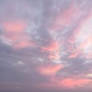 엔마트 홍성점 이미지