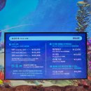 아이랑 가볼 만한 곳 추천 - 서울 강남 코엑스 아쿠아리움 방문후기
