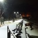 설이얼음