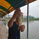 방축낚시터 이미지