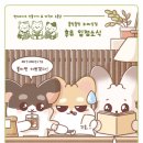 하찌상점