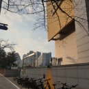 영희초등학교영희문화관 네이버블로그
