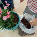 문화초병설유치원 이미지