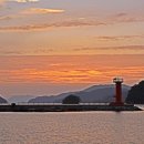 통영터널로가로수 이미지