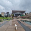 다다펫스파 이미지