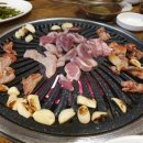 낙동생오리 이미지