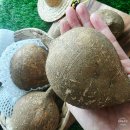 칠갑산농원 | 히카마 감자 요리 멕시코 감자 얌빈 건강담은 미소농원 후기