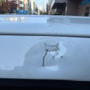 용스짐 | 자동차외형복원 잘 하신다는 용스덴트 수원점에서 레이 복원했어요