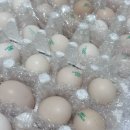 백봉농장 | 강릉 올래농장 자연방사 백봉오골계 초란 40알 무항생제 계란 추천