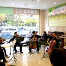 선율-작은음악회 이미지