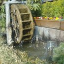 대산초등 이미지