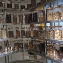 코끼리한의원 이미지