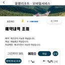 모나용평리조트 그린피아38평 | 용평워터파크 ㅣ애니포레 다녀온 후기 ㅣ 현대홈쇼핑 패키지 내돈내산